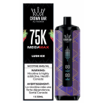 Al Fakher Mega Max 75K - Image 7