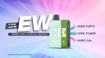 Elf Bar EW25000 Disposable Pod (ONTARIO)