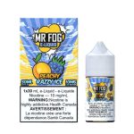 Mr Fog Salt 30ML - Image 5