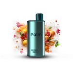 POP Palm - 7000 Disposable - Image 4