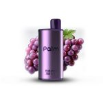 POP Palm - 7000 Disposable - Image 8
