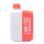 Mr. Fog Switch - Disposable (5500 Puffs) - Image 7