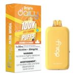 Drip’n by ENVI Daily 100K Disposable (ONTARIO)